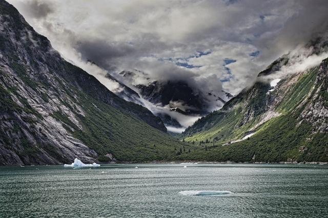 026 Tracy Arm.jpg